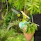 Sun Joe 24V iON+ Cordless 3000-RPM One-Handed Chain Saw Kit w/2.0-Ah Battery & Charger 24V-HCS-LTE - alternate 5